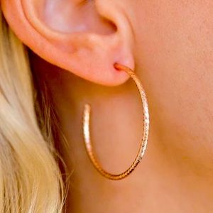 🌟3/$15 🆕NIP: Paparazzi Hoop, Line, and Sinker - Rose Gold Earrings